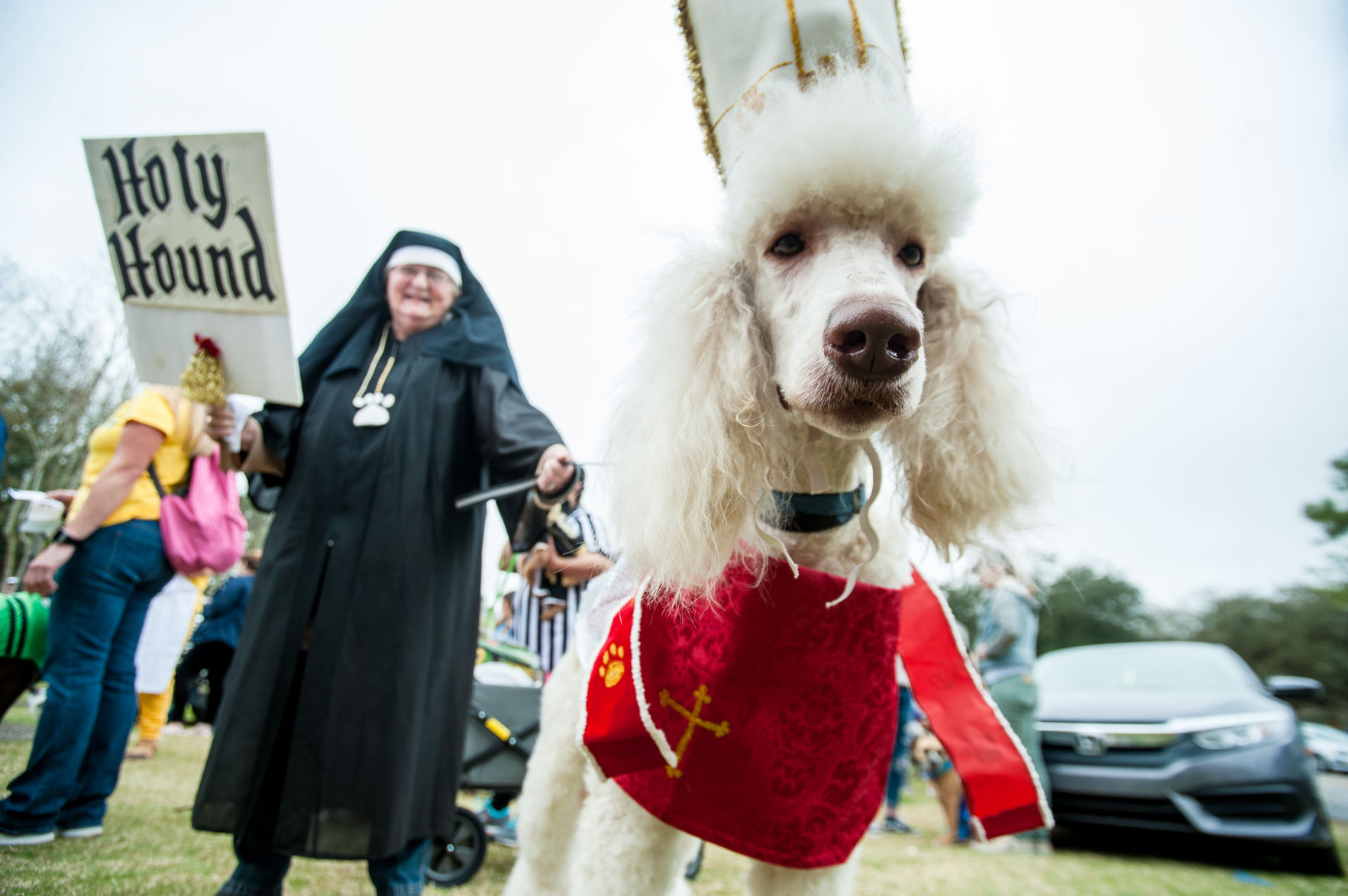NO.petfest.021119.11.jpg
